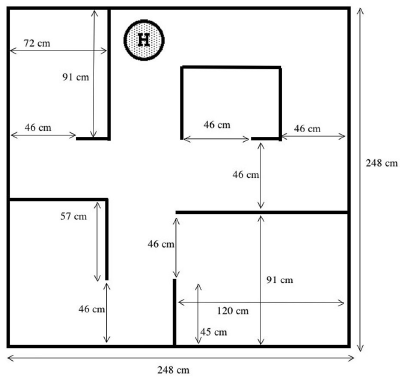 image1 image1